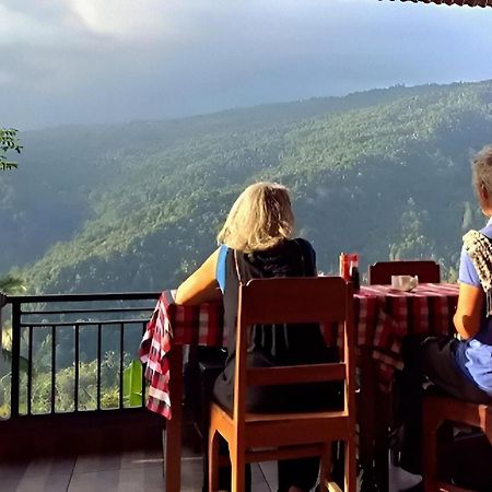 Aris Homestay And Warung Made Munduk Kültér fotó