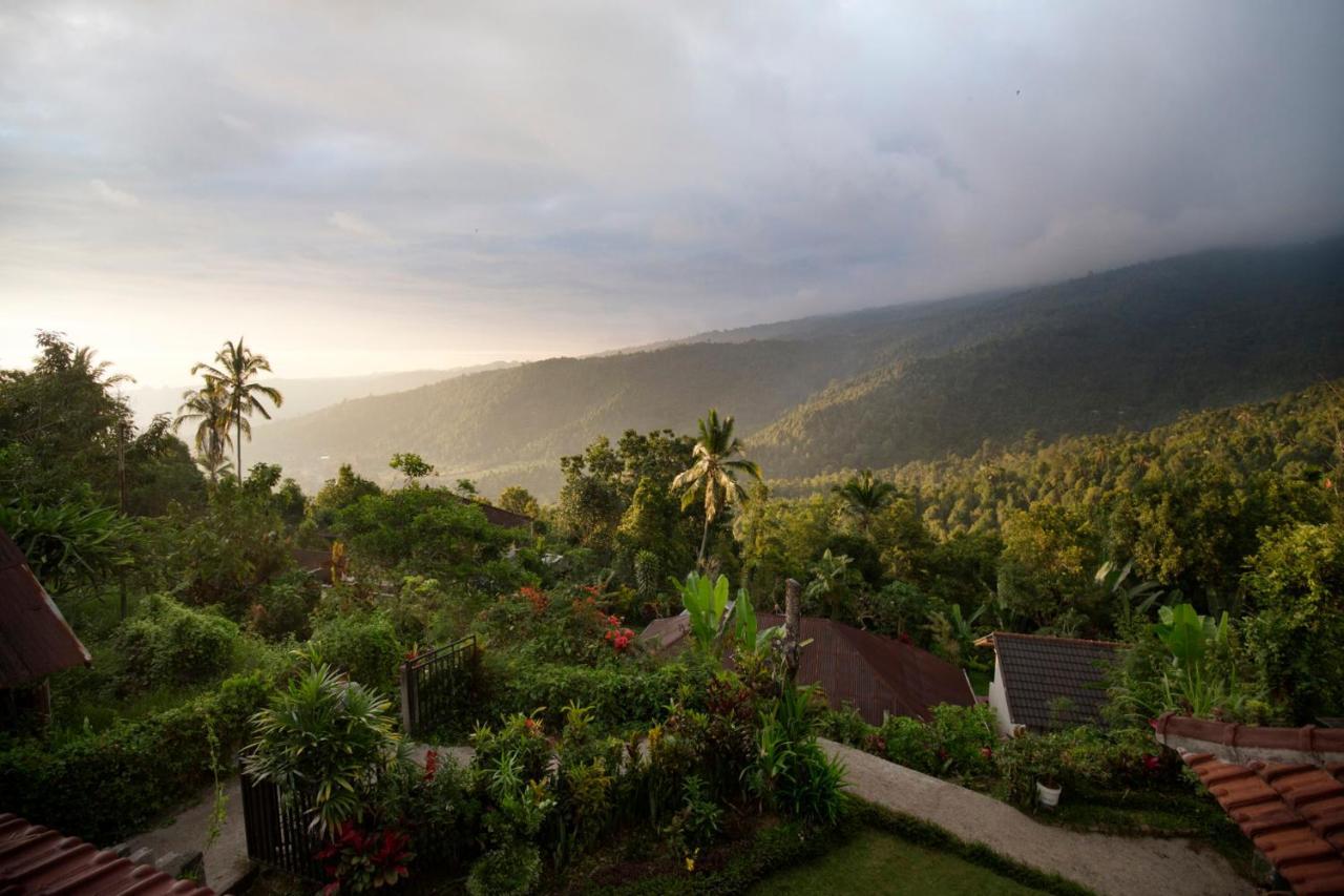 Aris Homestay And Warung Made Munduk Kültér fotó